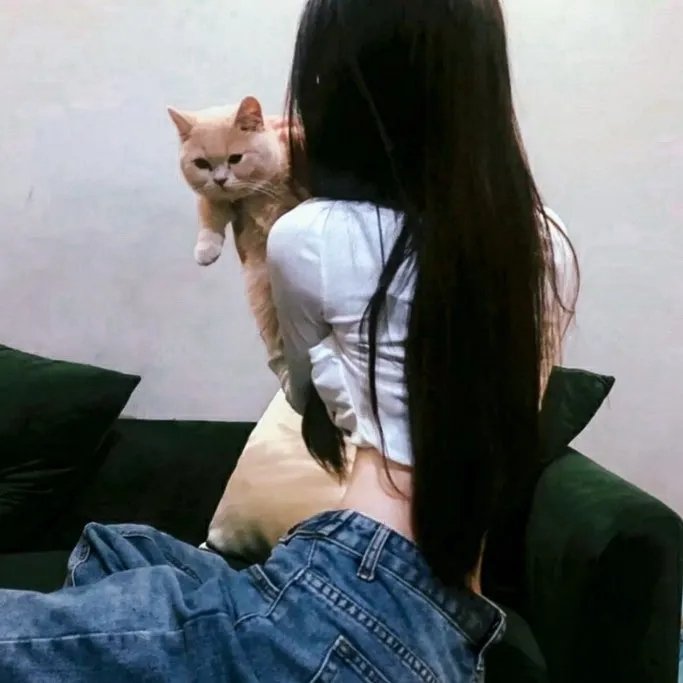 索魂恶鸟